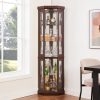 Corner Lighted Glass Curio Cabinet, Display Case for Living Room Ideal for Antiques, Wine and Bar Glass Storage with Built-in Light