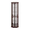 Corner Lighted Glass Curio Cabinet, Display Case for Living Room Ideal for Antiques, Wine and Bar Glass Storage with Built-in Light