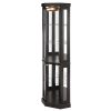 4-224.jpg Lighted Corner Curio Cabinet C Elegant Display Case for Living Room, Ideal for Antique Collectibles, Wine & Bar Glass Storage